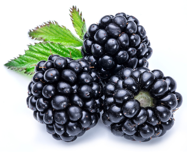 Three blackberries on the white background. - Foto, afbeelding