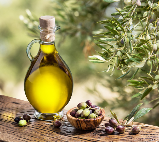 Olive oil and berries are on the wooden table under the olive tr - Фото, зображення