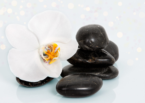 stones and orchid on the white background - Photo, Image
