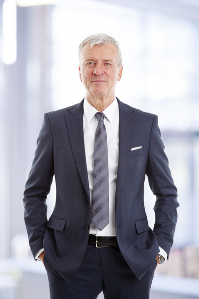 financial director standing at office - Foto, afbeelding