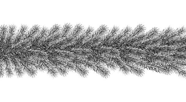 Border from fir tree branches - Vector, Image