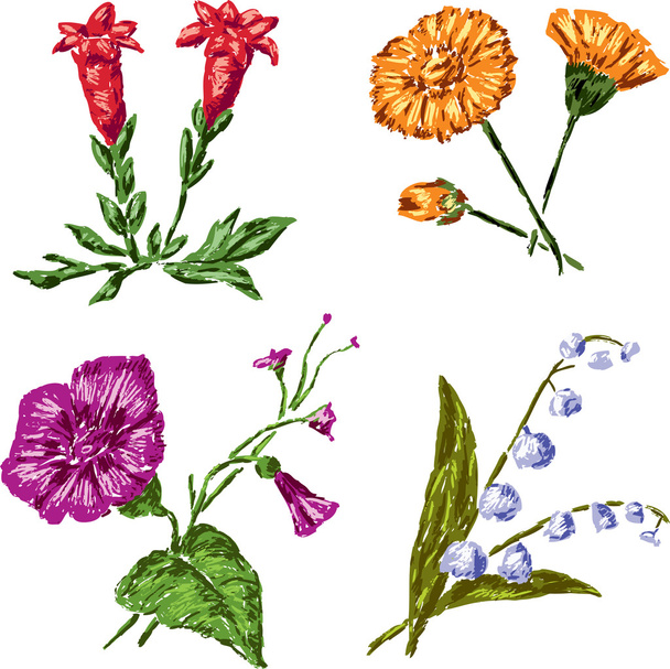 Скетчи из диких цветов
 - Вектор,изображение