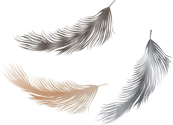 flying birds feathers - Vector, Image