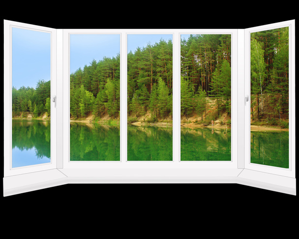 сучасне вікно до літнього лісового озера
 - Фото, зображення