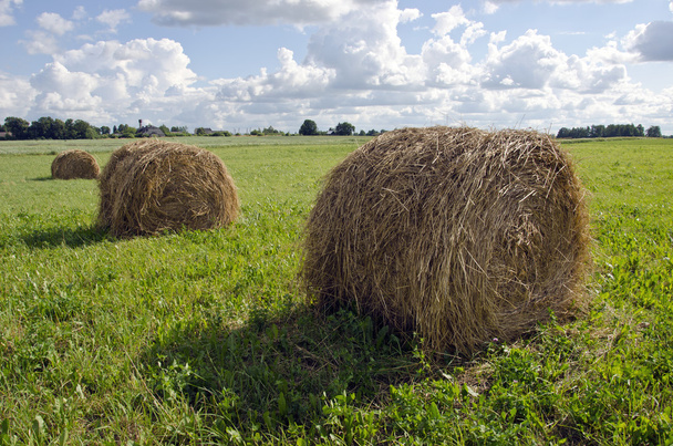 Сельский пейзаж с стогами сена и фермой
 - Фото, изображение