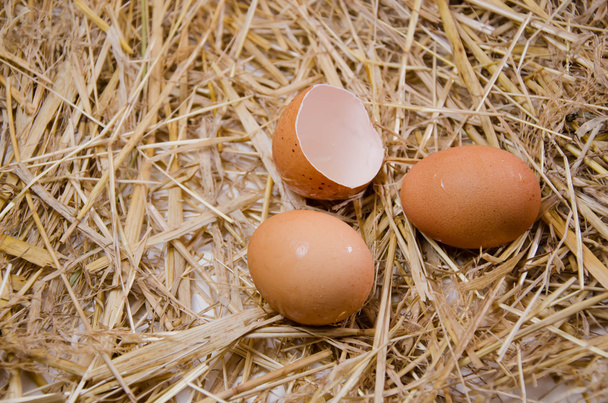 huevos crudos aislados
 - Foto, imagen