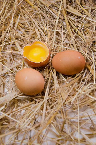 fehér alapon izolált tojások - Fotó, kép