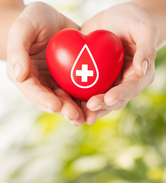 female hands holding red heart with donor sign - Photo, Image