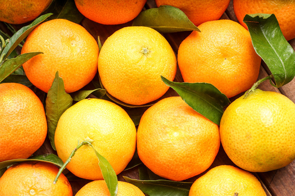 Fresh organic Clementines - Photo, Image