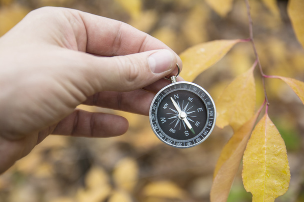 compass for orientation in the terrain - Photo, Image