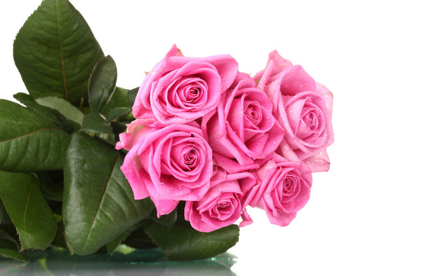 Many pink roses isolated on white - Photo, image