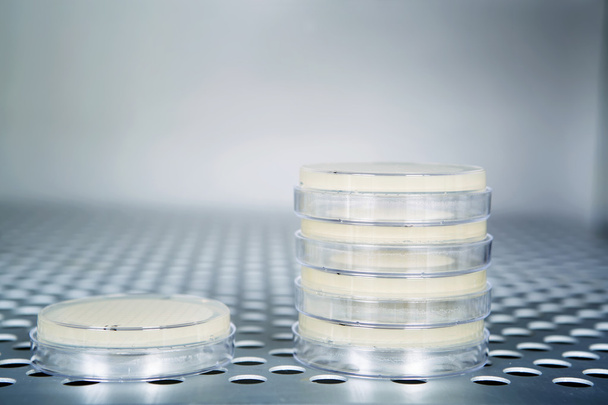 Petri dishes autoclave for sterilising inside. - Photo, Image