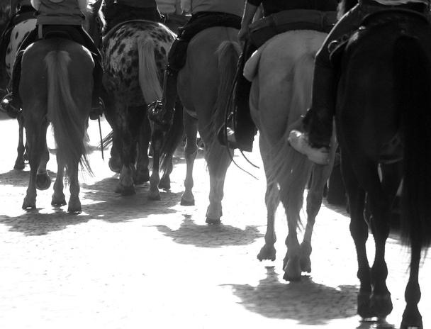 Grupo de caballos con vaqueros en contraluz
 - Foto, Imagen
