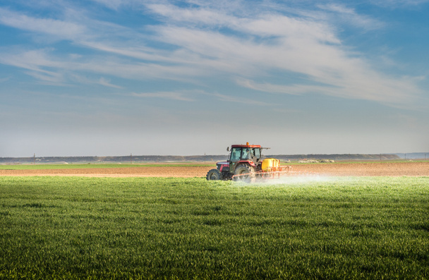 Tractor rociando campo de trigo
  - Foto, imagen
