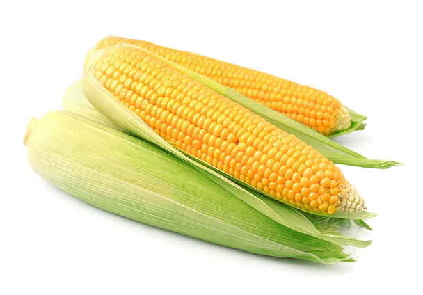 Una mazorca de maíz
  - Foto, Imagen