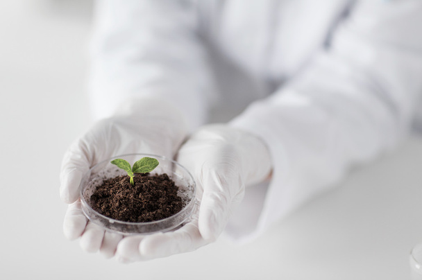 close up of scientist hands with plant and soil - Photo, Image