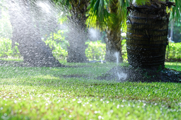 Système d'arrosage d'eau de pelouse de jardin
. - Photo, image
