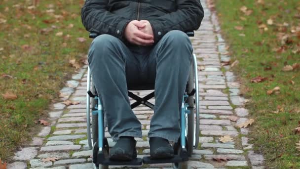 Disabled veteran in wheelchair at cemetery in autumn - Materiaali, video