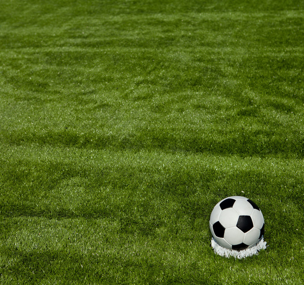 Football grass background in light and shadow - Zdjęcie, obraz