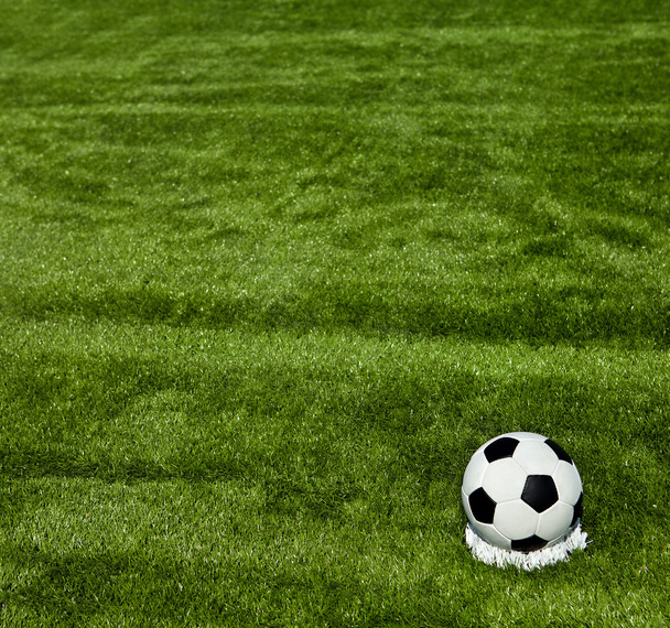 Soccer ball on green grass - Foto, Imagem