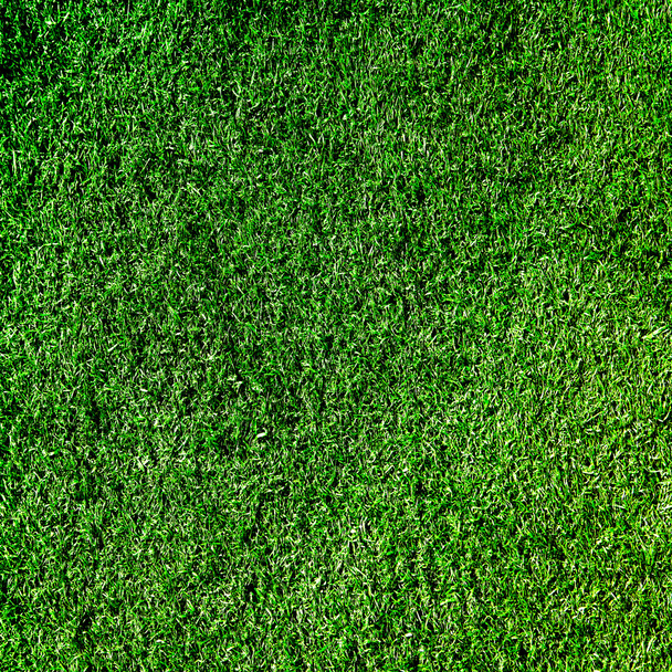 Artificial grass background - Foto, afbeelding