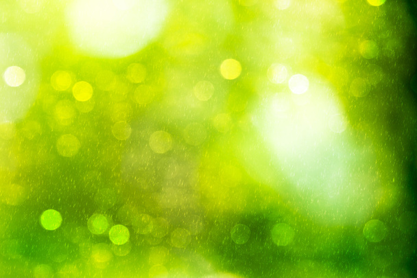 Słoneczny abstrakcyjny zielony natura tło. - Zdjęcie, obraz