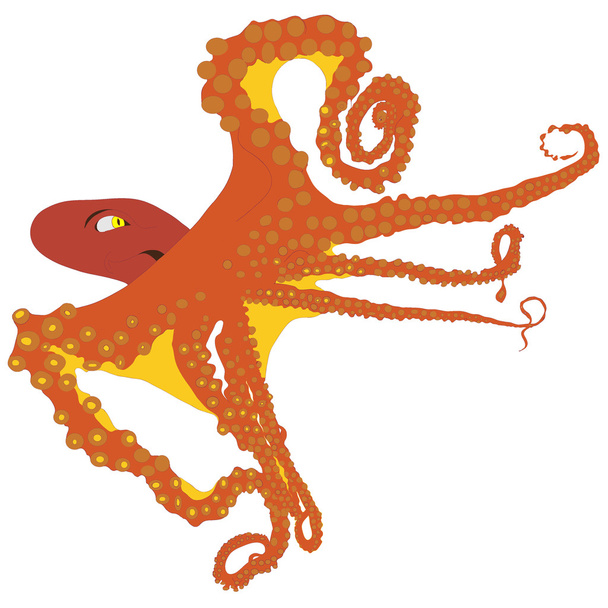 изолированные векторные изображения осьминога
 - Вектор,изображение