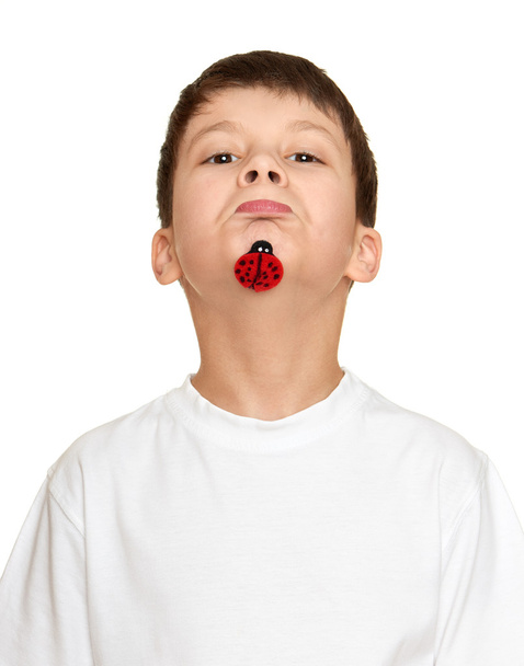 boy with ladybug on face, teenager fun portrait closeup - Photo, Image