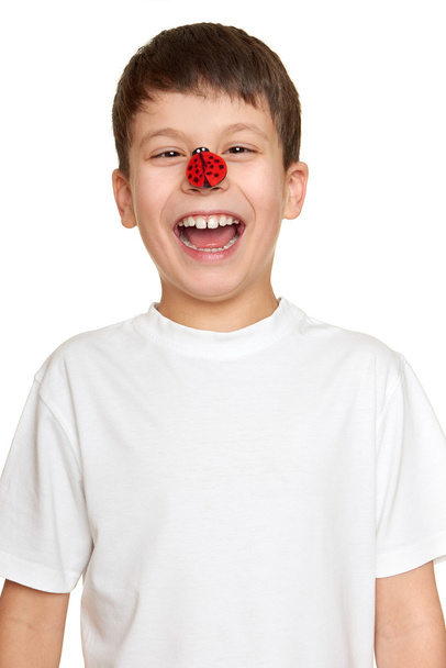 katicabogár arcán, szórakoztató tinédzser fiú portré Vértes - Fotó, kép