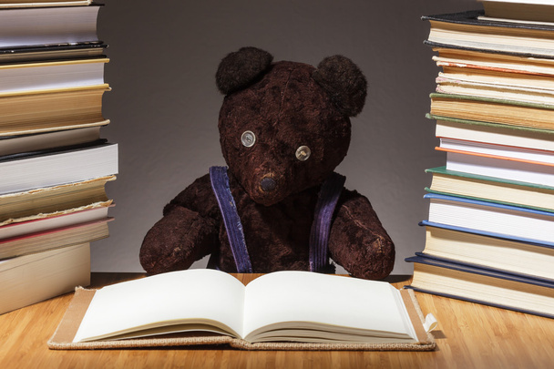 Teddy urso está se preparando para o exame difícil
 - Foto, Imagem