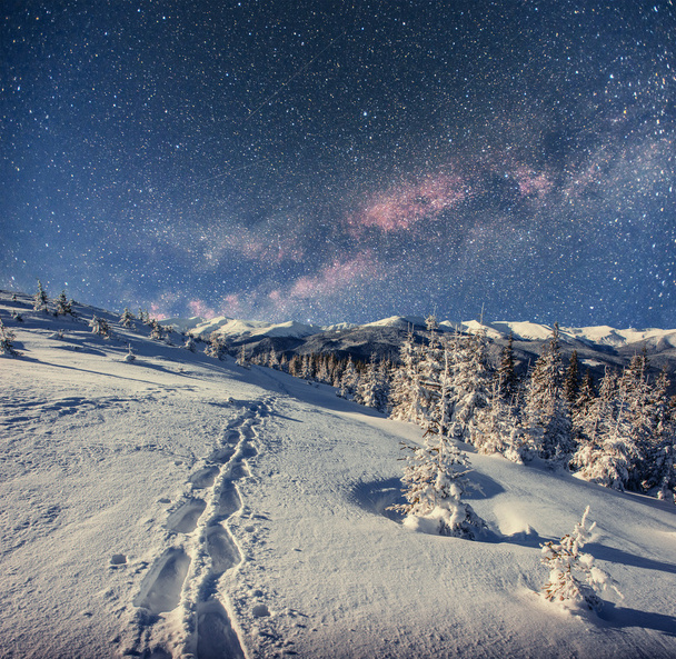 starry sky in winter snowy night. fantastic milky way in the New - Фото, изображение