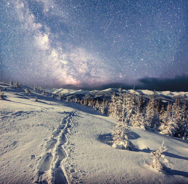 starry sky in winter snowy night. fantastic milky way in the New - Photo, image