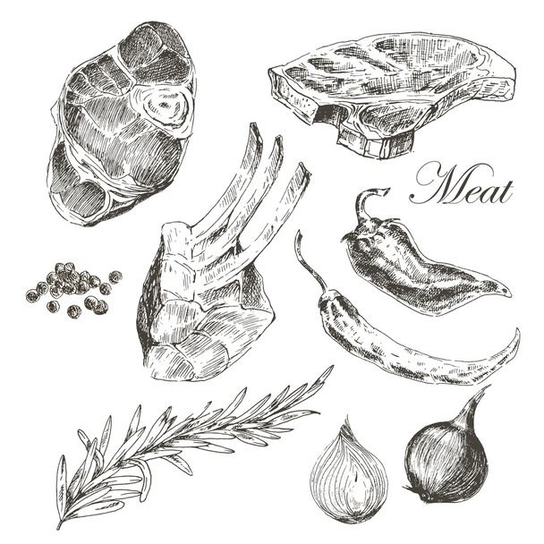 vector steak meat hand drawing with pepper and rosemary. detailed ink food illustration - Vektor, Bild