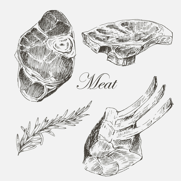 Vektorsteak Fleisch Handzeichnung mit Pfeffer und Rosmarin. Detaillierte Tintenillustration - Vektor, Bild