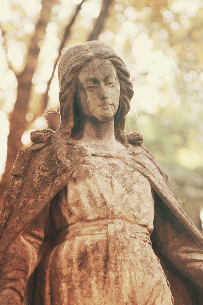 άγαλμα της παρθένου Μαρίας - Φωτογραφία, εικόνα