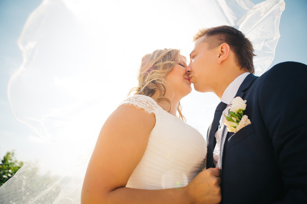 heureux couple mariée et marié embrassant ils se tiennent sur fond nature close-up
 - Photo, image