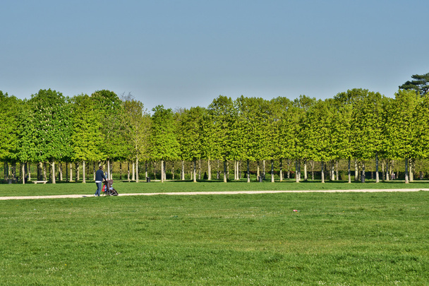 France, le pittoresque parc du château de Saint Germain en Laye
 - Photo, image