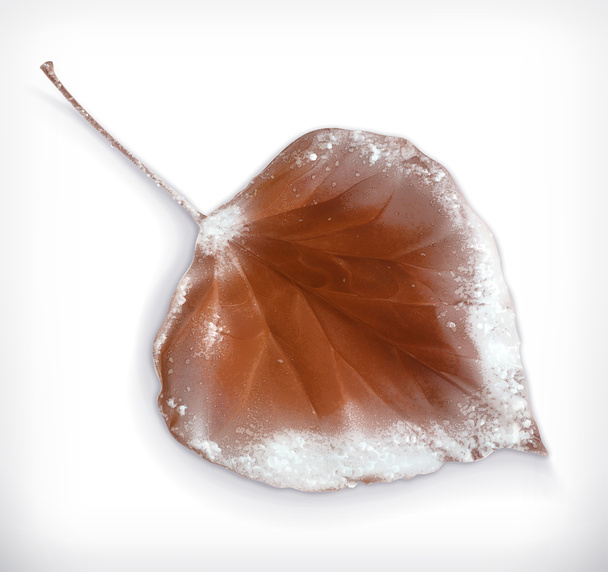 Заморожені листя значок
 - Вектор, зображення