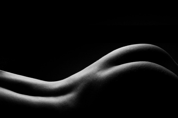 Classic low key photo of sexy woman body - Valokuva, kuva