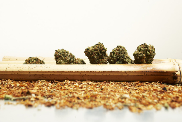 Marihuany, konopí, tráva nebo hrnec - Fotografie, Obrázek
