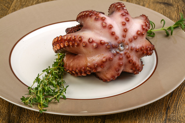 Boiled octopus with herb - Photo, Image