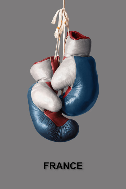 Boxing Gloves in the Color of France - Photo, Image