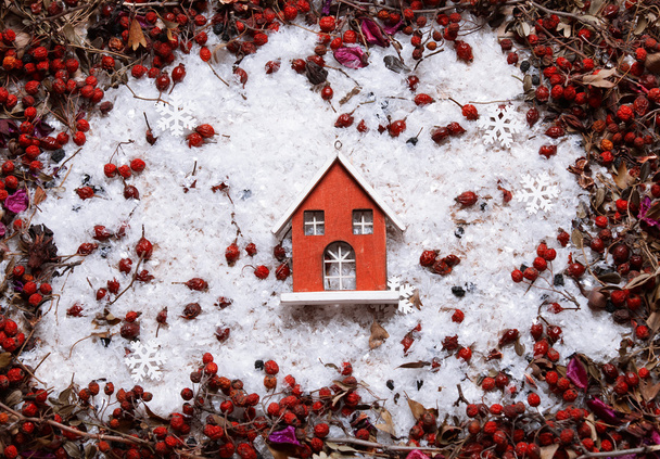 Dům hraček na sněhu  - Fotografie, Obrázek