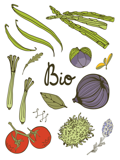 新鮮な手描き野菜のカラフルなセット - ベクター画像
