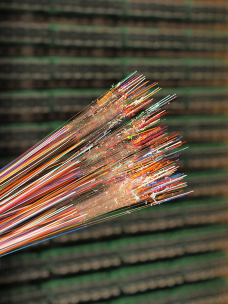 Optical fibers of 12 different colors - Photo, Image