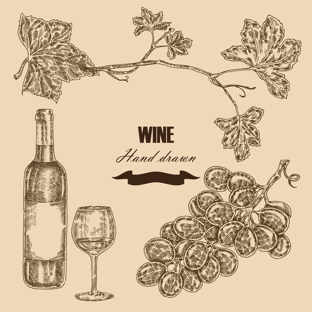 Wine set. Hand drawn bottle of wine, glass, bunch of grapes. Vectoor - Vector, afbeelding