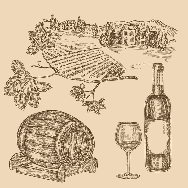 Conjunto de vinhos. Vinha desenhada à mão, garrafa de vinho, copo, cacho de uva
 - Vetor, Imagem