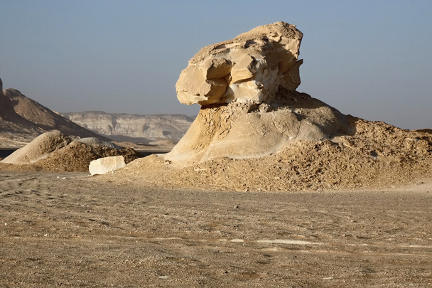Fehér sivatag szobor - Fotó, kép
