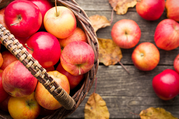 autumn apples in basket - Photo, image