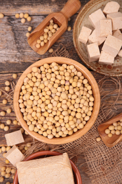 soy beans and tofu - 写真・画像